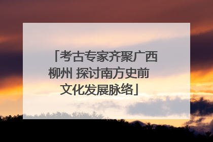 考古专家齐聚广西柳州 探讨南方史前文化发展脉络