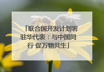 联合国开发计划署驻华代表：与中国同行 促万物共生