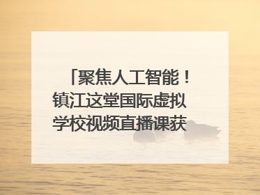 聚焦人工智能！镇江这堂国际虚拟学校视频直播课获韩美伙伴点赞