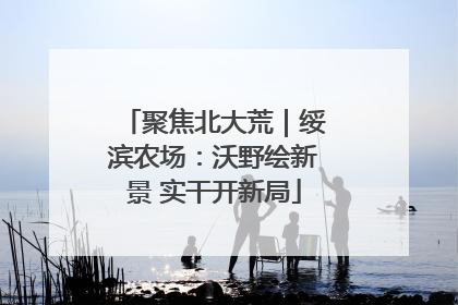 聚焦北大荒｜绥滨农场：沃野绘新景 实干开新局