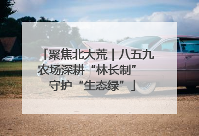 聚焦北大荒｜八五九农场深耕“林长制” 守护“生态绿”