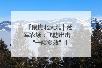 聚焦北大荒｜延军农场：飞防出击 “一喷多效”