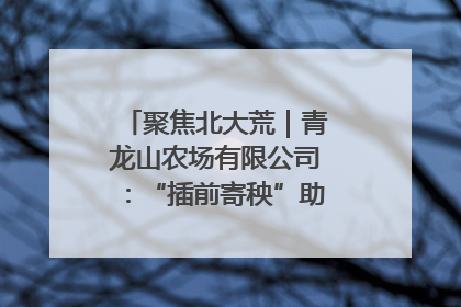 聚焦北大荒｜青龙山农场有限公司：“插前寄秧”助力农业节本增效