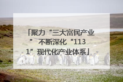 聚力“三大富民产业” 不断深化“1131”现代化产业体系