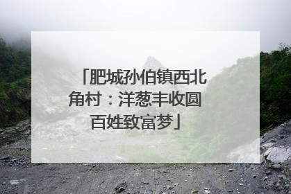 肥城孙伯镇西北角村：洋葱丰收圆百姓致富梦