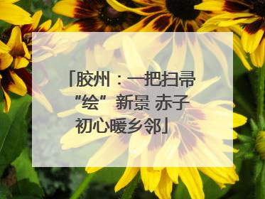 胶州：一把扫帚“绘”新景 赤子初心暖乡邻