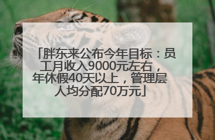 胖东来公布今年目标：员工月收入9000元左右，年休假40天以上，管理层人均分配70万元