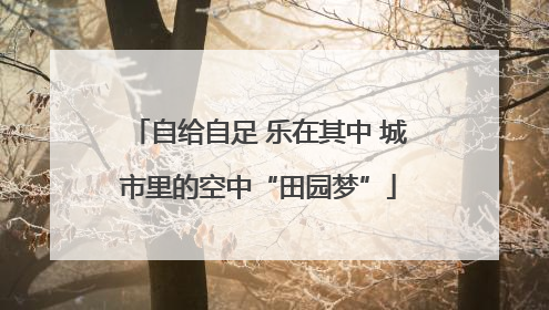 自给自足 乐在其中 城市里的空中“田园梦”