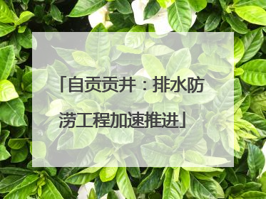 自贡贡井：排水防涝工程加速推进