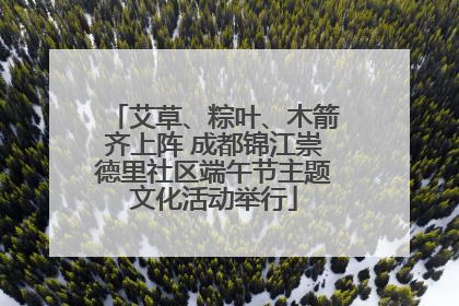 艾草、粽叶、木箭齐上阵 成都锦江崇德里社区端午节主题文化活动举行