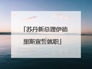 苏丹新总理伊德里斯宣誓就职