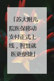 苏大附儿院医保移动支付正式上线，智慧就医更便捷