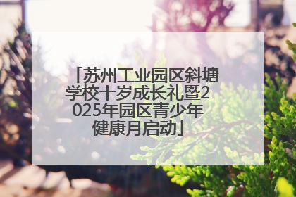 苏州工业园区斜塘学校十岁成长礼暨2025年园区青少年健康月启动