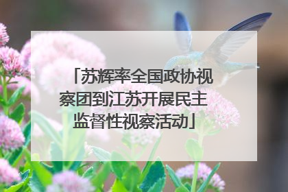 苏辉率全国政协视察团到江苏开展民主监督性视察活动