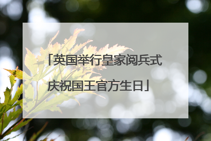 英国举行皇家阅兵式庆祝国王官方生日