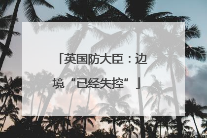 英国防大臣：边境“已经失控”