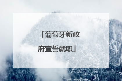 葡萄牙新政府宣誓就职