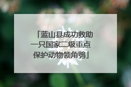 蓝山县成功救助一只国家二级重点保护动物领角鸮