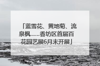 蓝雪花、黄地菊、流泉枫……香坊区首届百花园艺展6月末开展