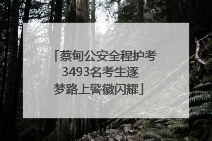 蔡甸公安全程护考 3493名考生逐梦路上警徽闪耀