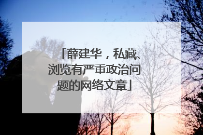 薛建华，私藏、浏览有严重政治问题的网络文章