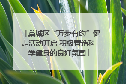 藁城区“万步有约”健走活动开启 积极营造科学健身的良好氛围