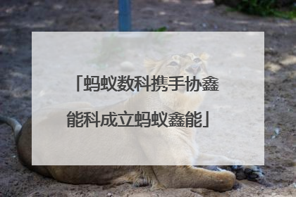 蚂蚁数科携手协鑫能科成立蚂蚁鑫能