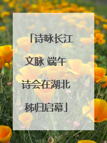 诗咏长江文脉 端午诗会在湖北秭归启幕