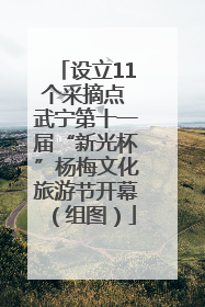 设立11个采摘点 武宁第十一届“新光杯”杨梅文化旅游节开幕（组图）