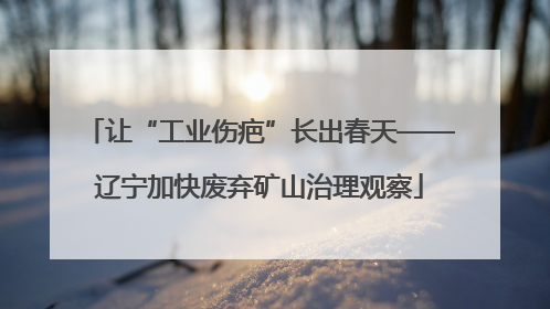 让“工业伤疤”长出春天——辽宁加快废弃矿山治理观察
