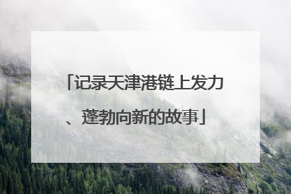 记录天津港链上发力、蓬勃向新的故事