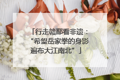 行走赣鄱看非遗：“希望岳家拳的身影遍布大江南北”