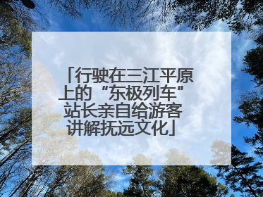 行驶在三江平原上的“东极列车” 站长亲自给游客讲解抚远文化