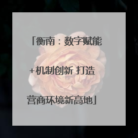 衡南：数字赋能+机制创新 打造营商环境新高地