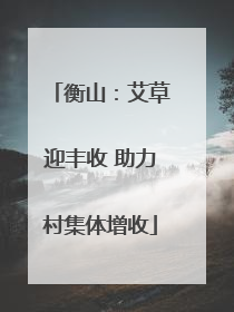 衡山：艾草迎丰收 助力村集体增收