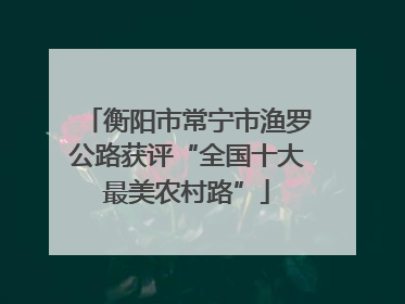 衡阳市常宁市渔罗公路获评“全国十大最美农村路”