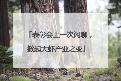 表彰会上一次闲聊，掀起大虾产业之变