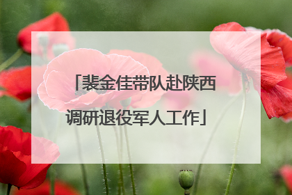 裴金佳带队赴陕西调研退役军人工作