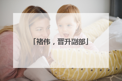 褚伟，晋升副部
