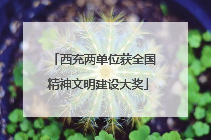 西充两单位获全国精神文明建设大奖