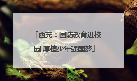 西充：国防教育进校园 厚植少年强国梦