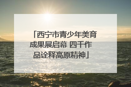 西宁市青少年美育成果展启幕 四千作品诠释高原精神