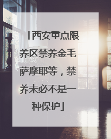 西安重点限养区禁养金毛萨摩耶等，禁养未必不是一种保护