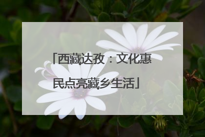 西藏达孜：文化惠民点亮藏乡生活