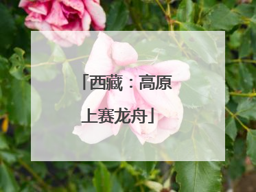西藏：高原上赛龙舟