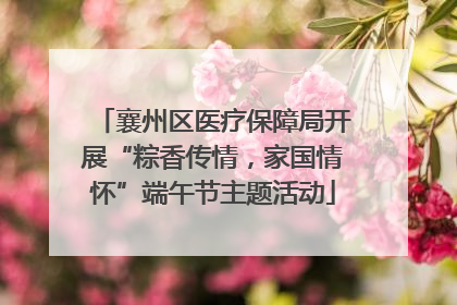 襄州区医疗保障局开展“粽香传情，家国情怀”端午节主题活动