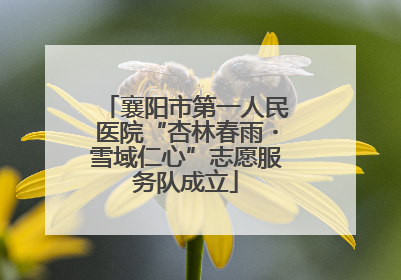 襄阳市第一人民医院“杏林春雨・雪域仁心”志愿服务队成立