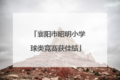 襄阳市昭明小学球类竞赛获佳绩