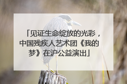 见证生命绽放的光彩，中国残疾人艺术团《我的梦》在沪公益演出