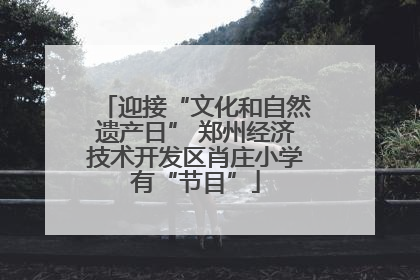 迎接“文化和自然遗产日” 郑州经济技术开发区肖庄小学有“节目”